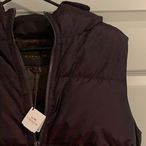 Black Violet Hooded Puffer Vest